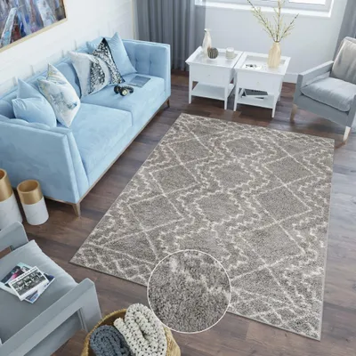 Obrázek produktu pro Koberec obývací pokoj ložnice moderní design shaggy vysoký vlas dlouhý vlas šedý ÖKOTEX 60 x 100 cm
