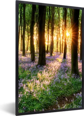 Produktbild von MuchoWow® Gerahmtes Poster Wald - Blumen - Lavendel - Sonne - Lila - Natur 60x90 cm - Poster mit Schwarzem Bilderrahmen Wandposter Rahmen Foto Bilder - Kunst