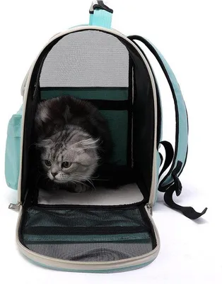 Image de Cage de transport pour petits animaux de compagnie, chats, chiens, lapins (1 kg)