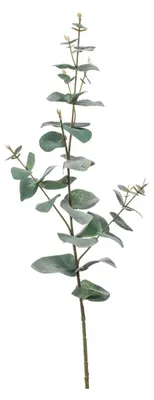 Produktbild von Kunstliche Pflanze Eukalyptus - grun - Zweige - Hangepflanze - 68 cm