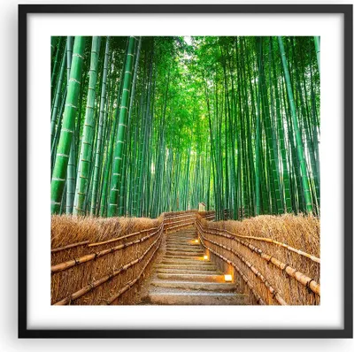 Produktbild von Gerahmtes Poster - Schwarzer Rahmen - Bambus Pflanze - 50x50 cm - Wand Bild - Wanddeko - Wandbilder - Kunstposter - Wandposter - Bilderrahmen - Bilder - Kunstdruck - Wandbild - P2BAC50x50-3979