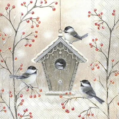 Produktbild von IHR - C 834200 - Cocktail Servietten, Vogelhaus, Blaumeisen, Papier, 20 Stück, 12,5cm x 12,5cm, 3 lagig, auseinandergefaltet: 25cm x 25cm
