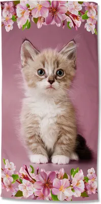 Produktbild von Beach towel Good Morning 75x150 cm - kitten cat with flowers