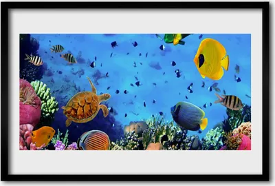 Produktbild von Bild 60x40 MDF-Rahmen Wandkunst Korallenriff-Fische Natur