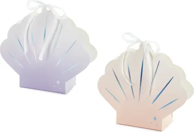 Produktbild von Muschelboxen, Mix, 16x17,5x5,5cm (1 Packung / 4 Stk.)