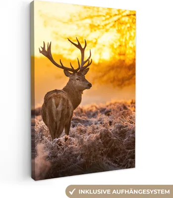 Produktbild von MuchoWow® - Leinwandbilder - Hirsche - Tiere - Sonnenuntergang - Winter - Heidekraut - Natur, Wandbild, Wanddeko Bilder Wohnzimmer, 80x120 cm