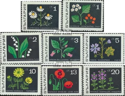 Produktbild von Briefmarken Bulgarien 1969 Mi 1857-1864 (kompl.Ausg.) postfrisch Heilpflanzen