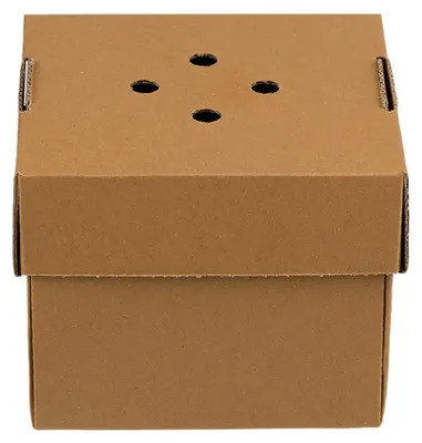 Faltbare Burger-Box aus Kraftpapier, 12x12x10 cm, 100 Stück, natur