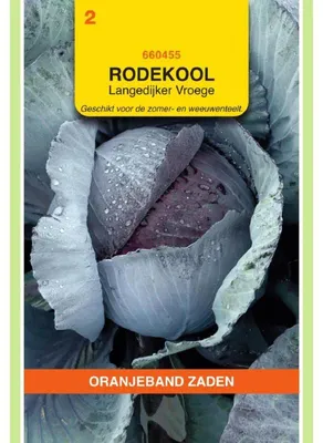 Image de Oranjeband : Chou rouge Langedijker. - 1 paquet de graines