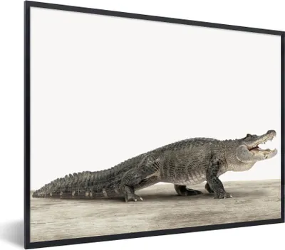 Produktbild von MuchoWow® Gerahmtes Poster Kinder - Krokodil - Junge - Kinder - Mädchen 80x60 cm - Poster mit Schwarzem Bilderrahmen Wandposter Rahmen Foto Bilder - Schwarzem - Mit Gestell