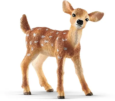 Produktbild von Schleich Weißwedelkalb 0 0 STK