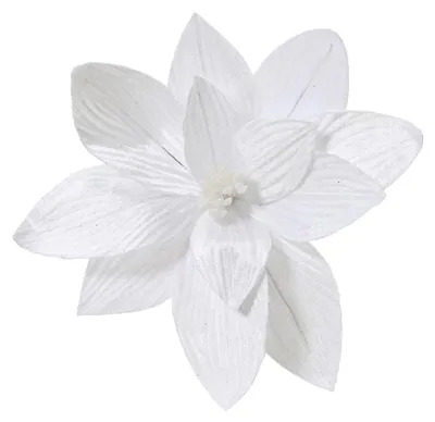Productafbeelding van Poinsettia pesfluweel d30h15 cm wit Everlands