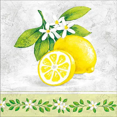 Image de Serviettes de table Lunch - Serviettes de table Lunch - Format : 33 x 33 cm - 3 plis - 20