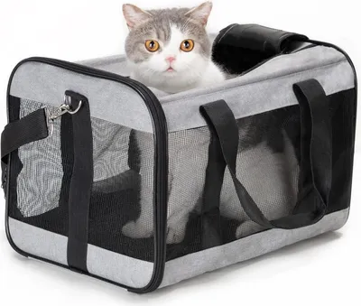 Immagine prodotto di Box pieghevole per il trasporto di cani e gatti - approvato dalle compagnie aeree (M)