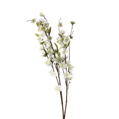 Image de Fleurs ornementales en rose, composition florale Atmosphera créateur d'intérieur