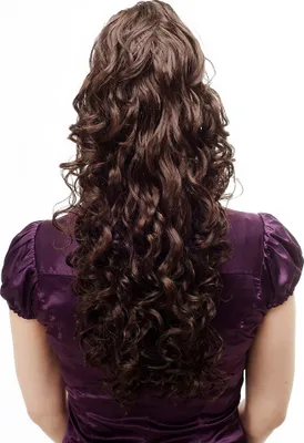 Produktbild von WIG ME UP Zopf, voluminös & lang, Braun N310-6