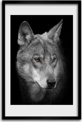 Produktbild von Bild - Bilderrahmen - 40 cm x 60 cm - MDF - Rahmen - Wandkunst - Porträt eines Wolfes