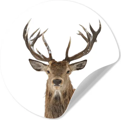 Produktbild von MuchoWow® - Wandbild - Fototapete - Selbstklebend - Dekoration - Wandschmuck - Schlafzimmer