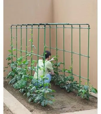 Immagine prodotto di Griglia verticale per piante da orto