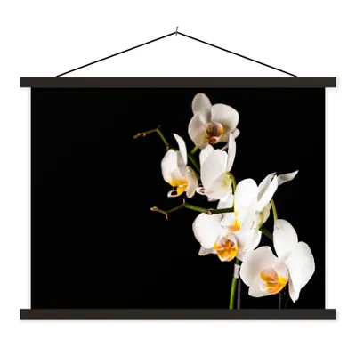 Produktbild von MuchoWow® Textilposter Orchidee - Blumen - Pflanzen - Botanisch 40x30 cm mit schwarzem Rahmen - Dekorationen