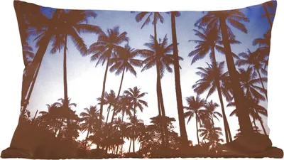 Produktbild von MuchoWow® Zierkissen Sofakissen Wohnzimmer Dekokissen 60x40 cm Palme - Tropisch - Sommer - Himmel - Kopfkissen - Polster mit Foto