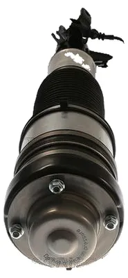 Image de Jambe de suspension pneumatique