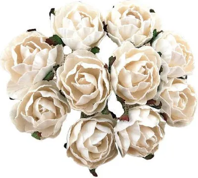 Produktbild von PEONIE-BLÜTEN 30 mm Maulbeerpapier Blumen Scrapbooking 50 Stk., weiß