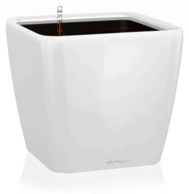 Immagine prodotto di Fioriera LECHUZA QUADRO Premium LS 21 Bianco lucido | fioriera con sistema di irrigazione | superficie lucida | 22,5 x 22,5 x 20,5 cm | 16120