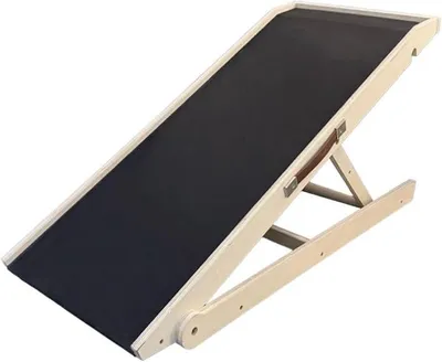 Imagen del producto de Rampa plegable para perros