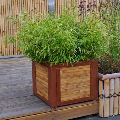 Produktbild von BambusBASIS Hochbeet - H: 57cm x B: 67cm x T: 67cm, Corten, Bambusleiste mit Kokosfrostschutzmatte