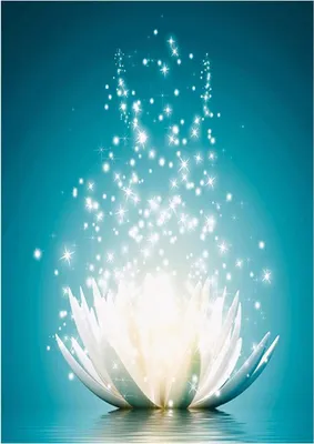 Produktbild von Diamant Painting, DIY 5D Diamant Painting Bilder DIY Diamant Gemälde Büro Dekorationen (Lotus, 40*50cm)