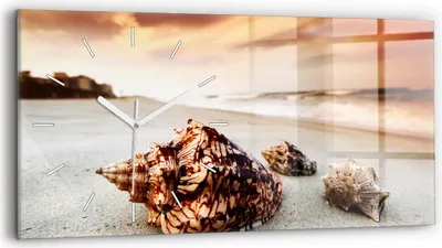 Produktbild von Wallfluent Wanduhr – Stilles Quarzuhrwerk - Uhr Dekoration Wohnzimmer Schlafzimmer Küche - Zifferblatt mit Strichen - weiße Zeiger - 60x30 cm - Strandschale