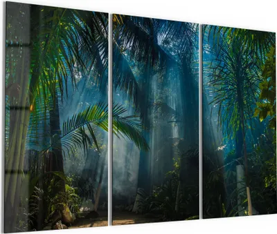 Produktbild von DEQORI Glasbild Echtglas 3x50x100 cm 'Licht durchdringt Palmen' Wandbilder XXL groß