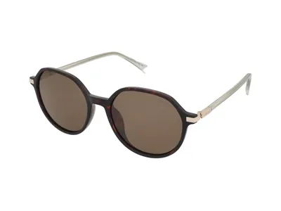 Produktbild von Polaroid PLD 4149/G/S/X Havana 55/18/145 Damen Sonnenbrillen