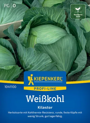 Produktbild von Kiepenkerl Weißkohlsamen Kilastor F1 Brassica oleracea capitata alba 12 Pflanzen