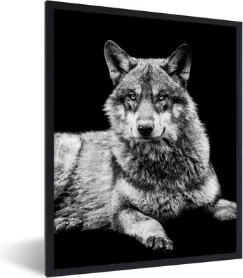 Produktbild von MuchoWow® Gerahmtes Poster Wildlife - Wolf - Schwarz - Weiß 30x40 cm - Poster mit Schwarzem Bilderrahmen Wandposter Rahmen Foto Bilder - Wanddeko - Kunstdrucke