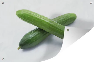 Produktbild von MuchoWow®