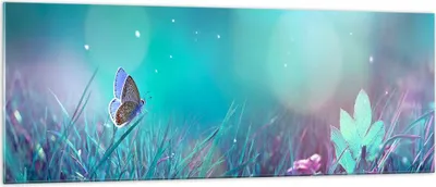 Produktbild von Bilder auf glas - Schmetterling Wiese Blume - 140x50cm - Glasbilder - Wandbilder - Kunstdruck - zum Aufhängen bereit - Wanddekoration aus Glas - Glas Bilder - Wandbild auf Glas - GAB140x50-4077