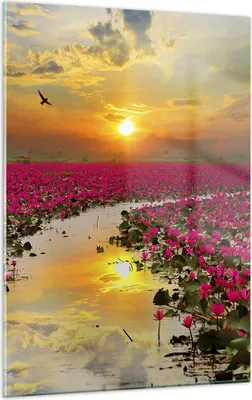 Produktbild von Bilder auf glas - Einteilig - See Blumen - 50x70cm - Glasbilder - Wandbilder - Bilder - Kunstdruck - zum Aufhängen bereit - Wanddekoration aus Glas - Glas Bilder - Wandbild auf Glas - GPA50x70-3769