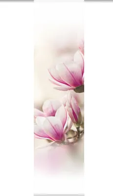 Produktbild von Home Wohnideen Schiebevorhang Dekostoff DigitaldruckMagnene 1 teilig 245 x 60 cm Rose