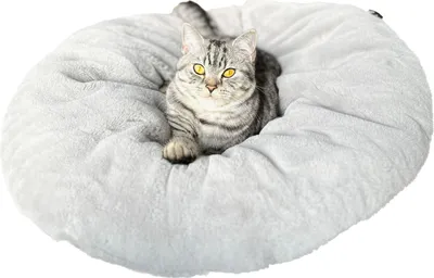 Produktbild von Lebon Katzenbett Bella Plüsch grau