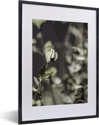 Produktbild von MuchoWow® MuchoWow® Gerahmtes Poster Getrocknete Eukalyptuszweige 30x40 cm - Poster mit zchwarzem Bilderrahmen - Wandposter Schlafzimmer