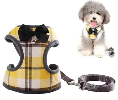 Imagen del producto de Arnés ajustable para perros con correa