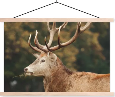 Produktbild von MuchoWow® Textilposter Hirsche - Geweihe - Wald 60x40 cm mit holzfarbenen Rahmen - Bilder