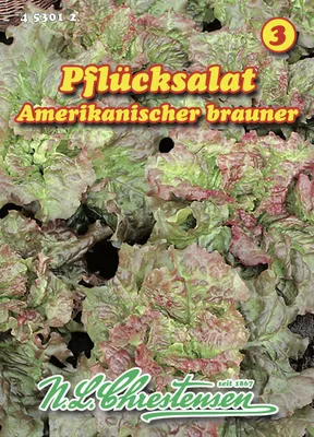 Produktbild von Pflücksalat Amerikanischer brauner | Pflücksalatsamen von N.L. Chrestensen