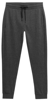 Produktbild von 4F - Jogginghosen für Herren PP1531 (M) (Graphitgrau)