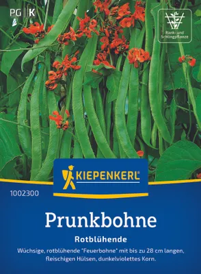 Produktbild von Kiepenkerl Prunkbohnensamen Rotblühende Phaseolus coccineus 6-8 lfd. Meter