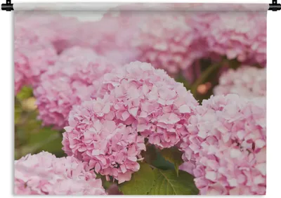 Produktbild von MuchoWow® Wandteppich Wandbehang Busch - Blumen - Rosa - Hortensie 120x90 cm Tapisserie Dekoration Wandtuch - Wohnen - Aufhänger für die Wand