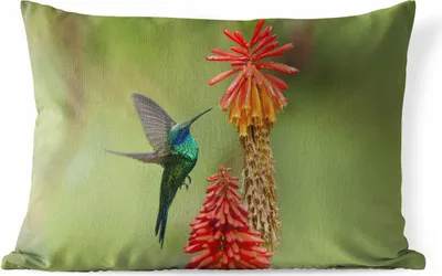 Produktbild von MuchoWow® Outdoor Kissen - Vogel - Kolibri - Blumen - 50x30 cm - Wetterfest - Lounge Kissen - Sofa kissen - Wohnzimmer Dekoration