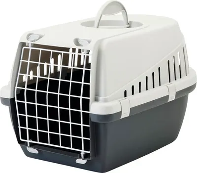 Image de Caisse de transport SAVIC Trotter 1 49 x 33 x 30 cm gris clair anthracite